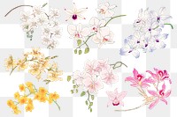 Png orchid flower sticker, Japanese art painting on transparent background set