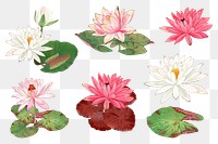 Lotus flower png sticker, vintage Japanese art painting set