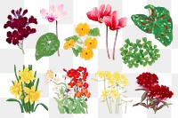 Flower png sticker, floral ukiyo-e woodblock art, transparent background collection