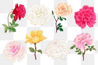 Rose png sticker, floral ukiyo-e woodblock art, transparent background collection
