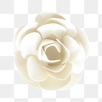 White rose paper craft transparent png