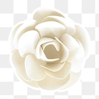 White rose sticker paper craft png