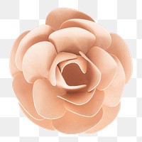 Pink rose png paper craft