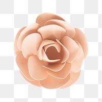 Pastel orange rose paper craft transparent png