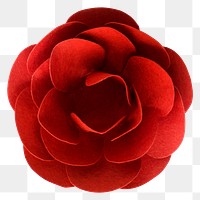 Red camellia 3D papercraft flower png