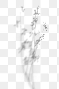 Shadow Overlay Images | Free Vectors, PNGs, Mockups & Backgrounds - rawpixel