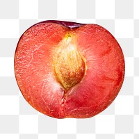 Half red plum with pit png