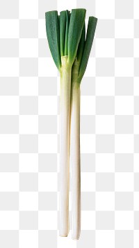 Leek vegetable png clipart, organic ingredient