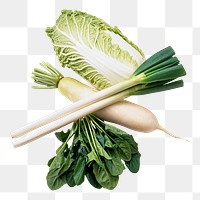 Organic green vegetables png clipart, healthy diet