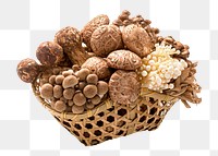 Mushroom basket png clipart, various vegetables