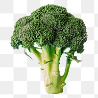 Broccoli png clipart, organic vegetable, healthy diet