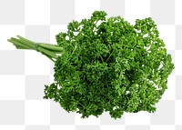 Parsley png clipart, vegetable, organic ingredient