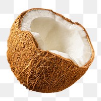 Coconut png clipart, tropical fruit on transparent background