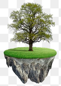 Tree png sticker, 3D grass ground on transparent background