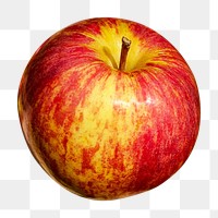 Red apple png, fruit, transparent background