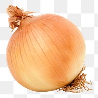 Onion png clipart, organic vegetable, ingredient