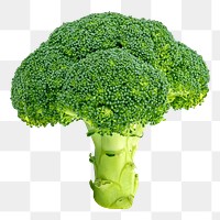 Broccoli png clipart, organic vegetable, healthy diet