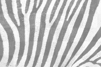Zebra pattern png overlay, abstract design on transparent background 