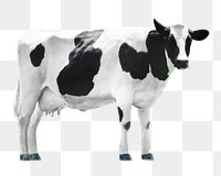 Cow png clipart, farm animal, transparent background