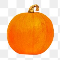 Halloween pumpkin png clipart, organic vegetable