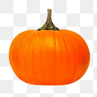 Organic pumpkin png clipart, orange vegetable