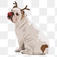 Christmas deer dog png sticker, English Bulldog on transparent background