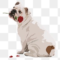 Valentine's dog png sticker, English Bulldog on transparent background