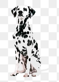 Dalmatian dog png sticker, transparent background