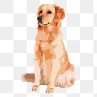 Golden Retriever dog png sticker, transparent background