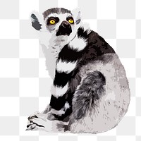 Lemur animal png sticker, transparent background