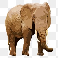 Elephant animal png sticker, transparent background