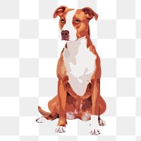 Pitbull dog png sticker, transparent background