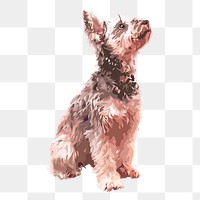 Schnauzer dog png sticker, transparent background