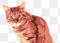 Tabby cat png sticker, transparent background