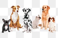 Cute dogs png border sticker, transparent background