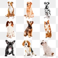 Dog breeds png sticker, transparent background set