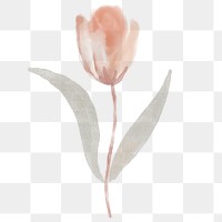 Tulip clipart png, watercolor beige illustration on transparent background