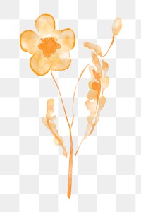 Flower clipart png, watercolor orange illustration on transparent background