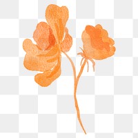 Orange flower png sticker, floral watercolor design, transparent background