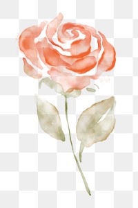 Rose clipart png, watercolor orange illustration on transparent background