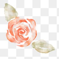 Rose clipart png, watercolor orange illustration on transparent background