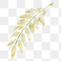 Leaf clipart png, watercolor green illustration on transparent background