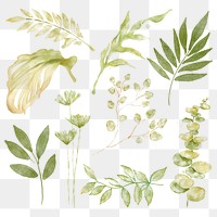 Green leaves png sticker, botanical illustration on transparent background set