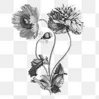 Flowers png, black and white clip art sticker for scrapbook journal collage, transparent background