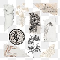 Torn paper scrap png journal collage sticker with vintage drawing set, transparent background