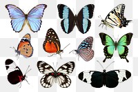 Butterflies png stickers set, animal cut out on transparent background