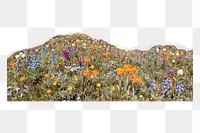 Flower field  png sticker nature design, transparent background