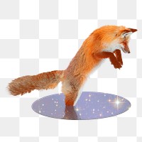 Jumping fox png sticker, animal cut out on transparent background