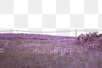 Purple landscape png sticker nature design, transparent background