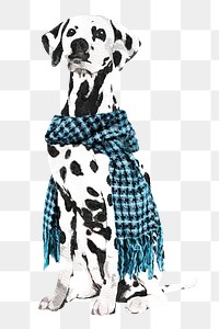 Watercolor Dalmatian dog png illustration on transparent background in watercolor